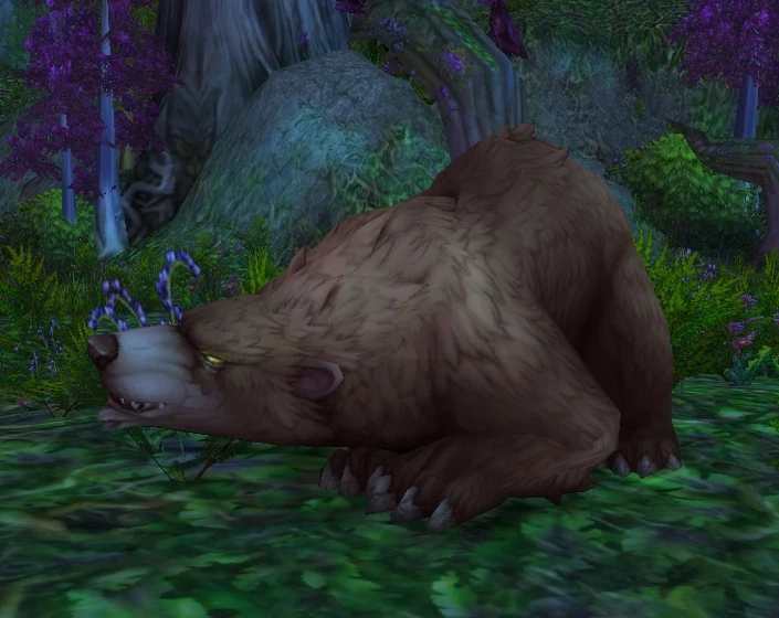 Elder Ashenvale Bear