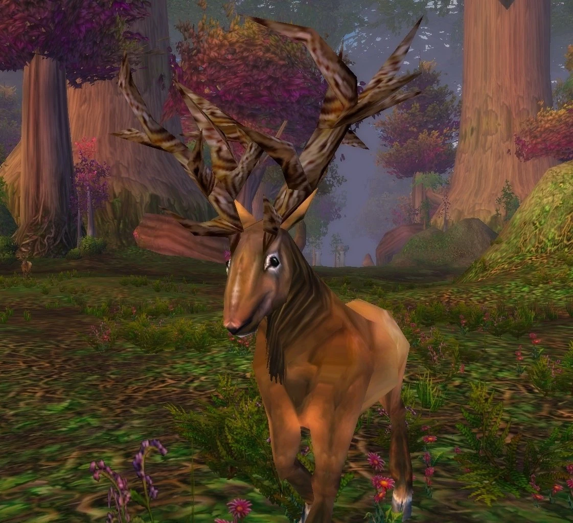 Wild Buck
