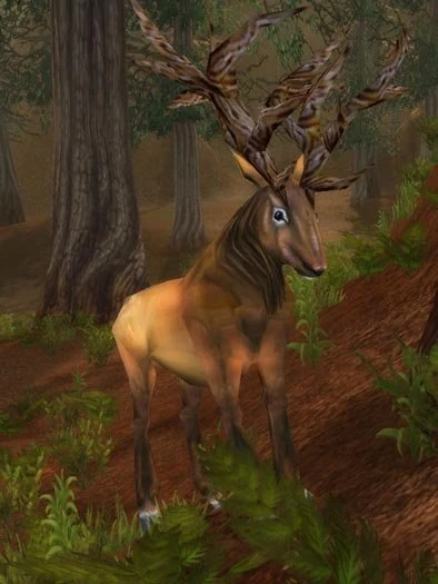 Antlered Courser