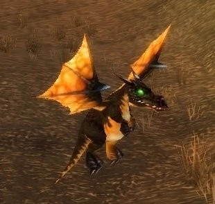 Searing Whelp