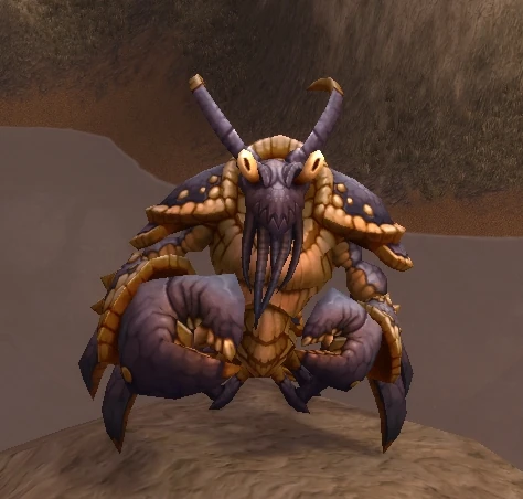 Muckshell Clacker