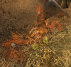 Darkfang Lurker
