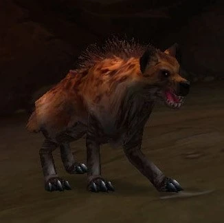Tamed Hyena