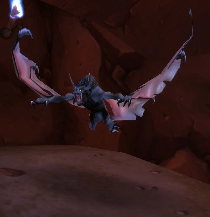 Kraul Bat