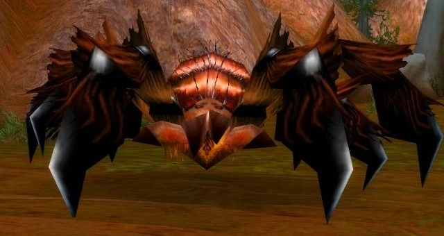 Greater Tarantula