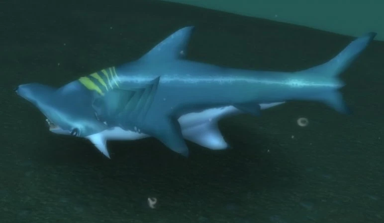 Hammerhead Shark