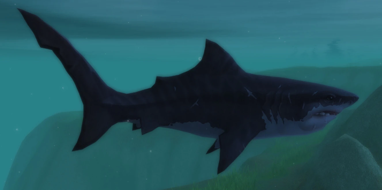 Coral Shark