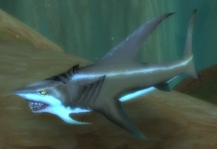 Sand Shark