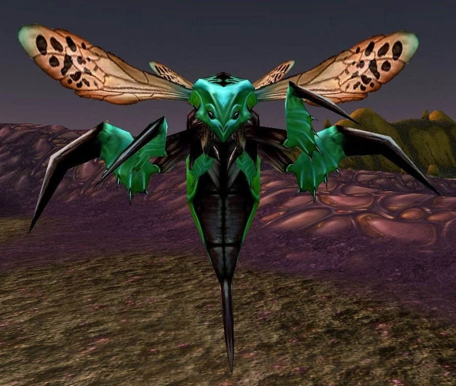 Hazzali Wasp