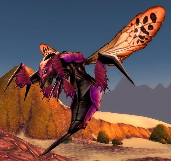 Centipaar Wasp
