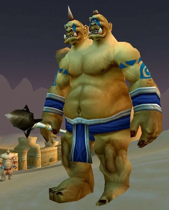 Dunemaul Warlock