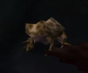 Caged Toad