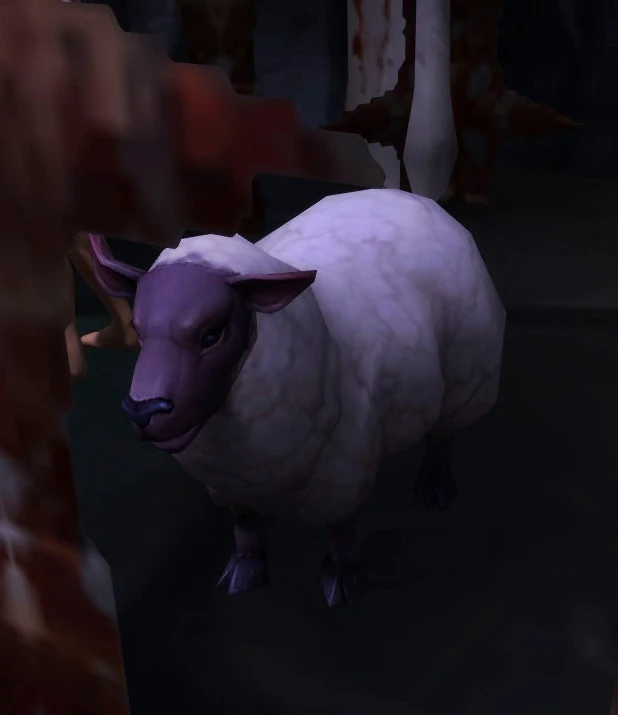 Caged Sheep
