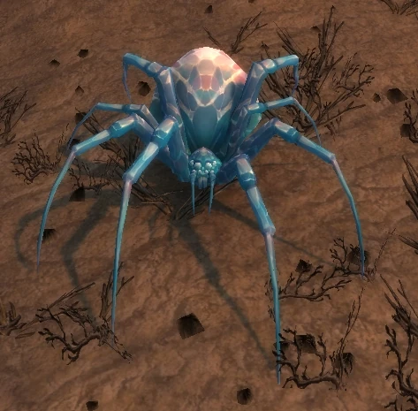 Glassweb Spider