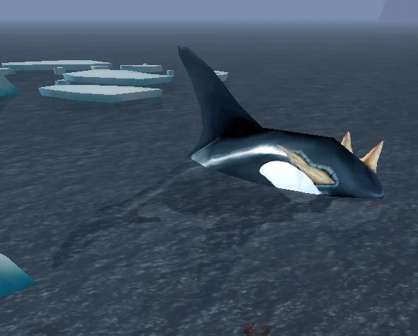 Orca