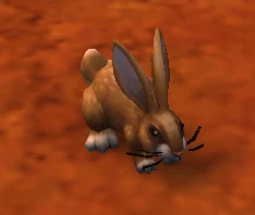 Hare