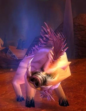 Ashmane Boar