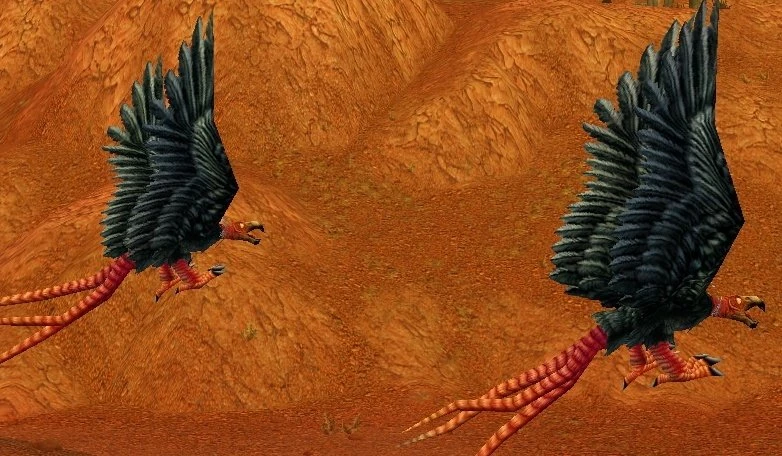 Wayward Buzzard