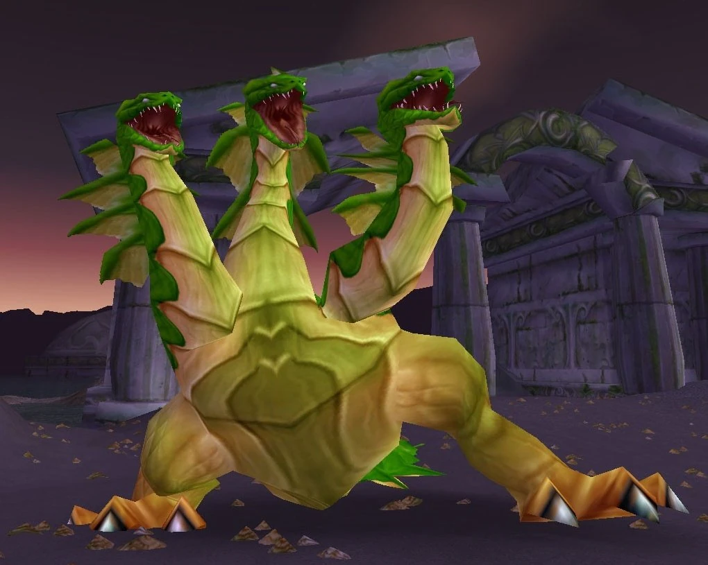 Hetaera