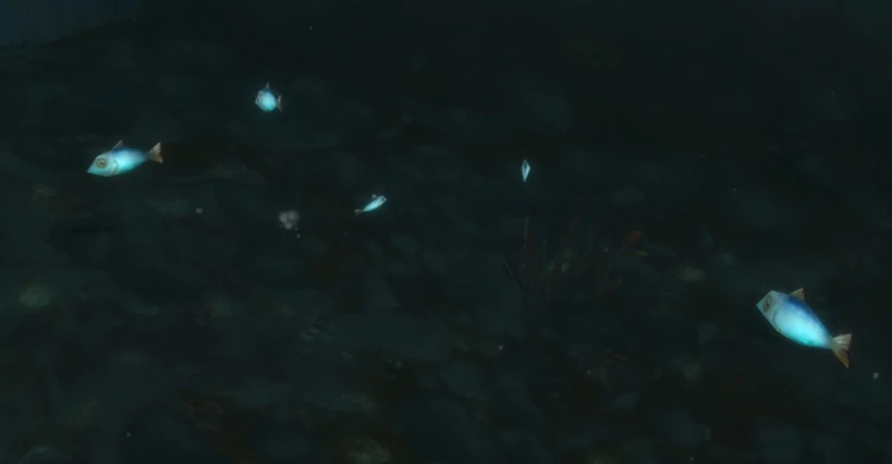 School of Fish
