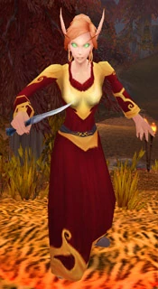 Blood Elf Surveyor