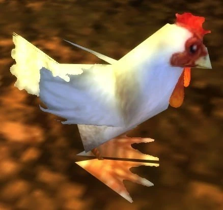 Chicken