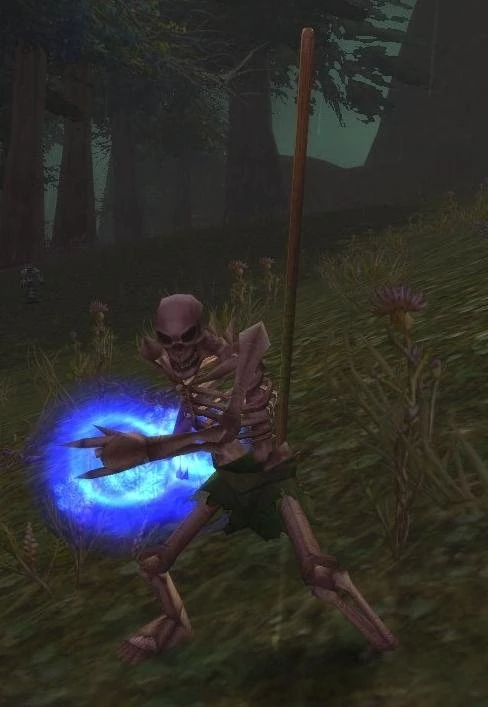 Skeleton
