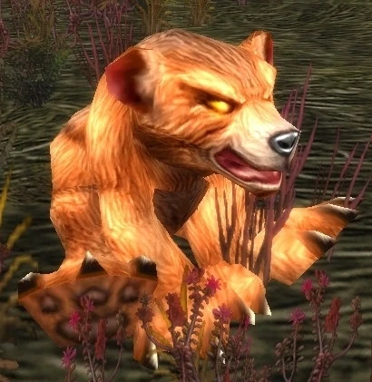 Thistle Cub