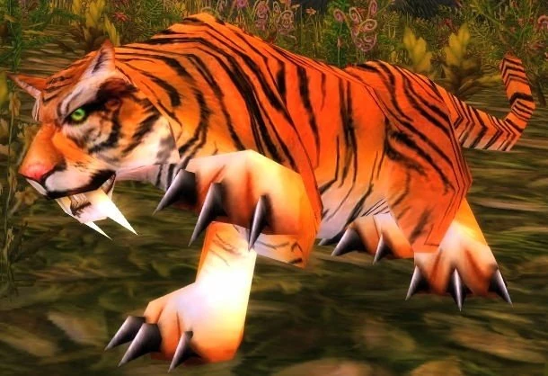Young Stranglethorn Tiger