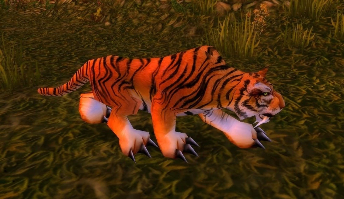 Stranglethorn Tiger