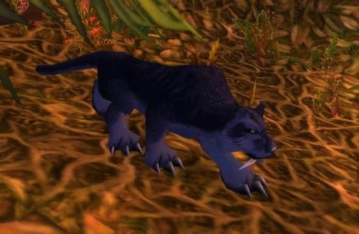 Young Panther
