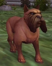 Tracking Hound