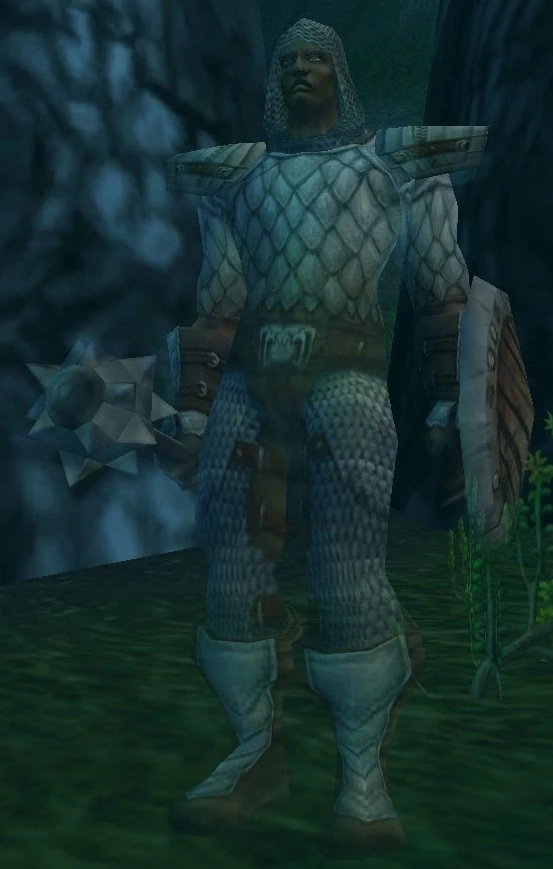 Cursed Paladin