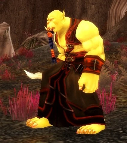 Jaedenar Cultist
