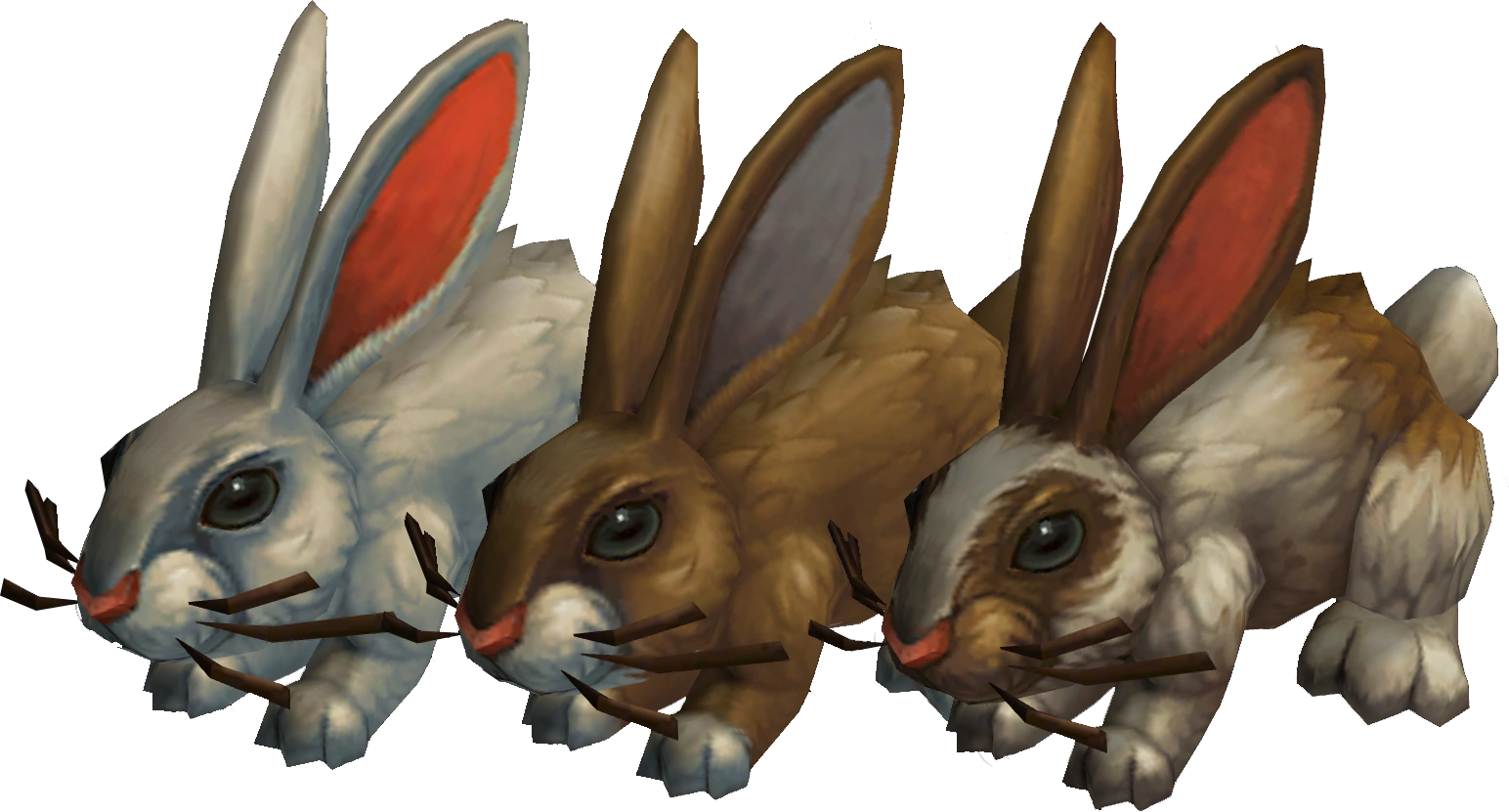 Rabbit