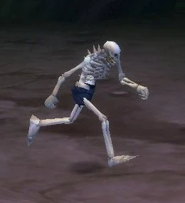 Splinterbone Skeleton