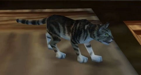 Black Tabby