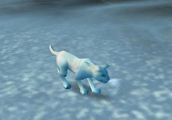 White Kitten