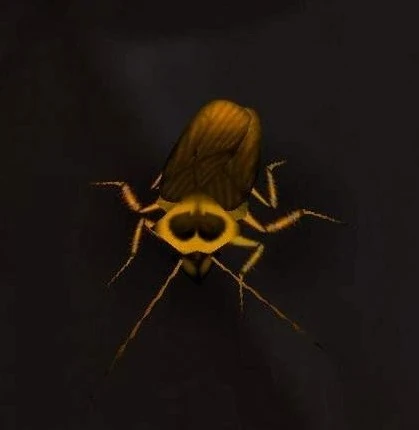 Cockroach
