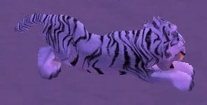 Frostsaber Cub