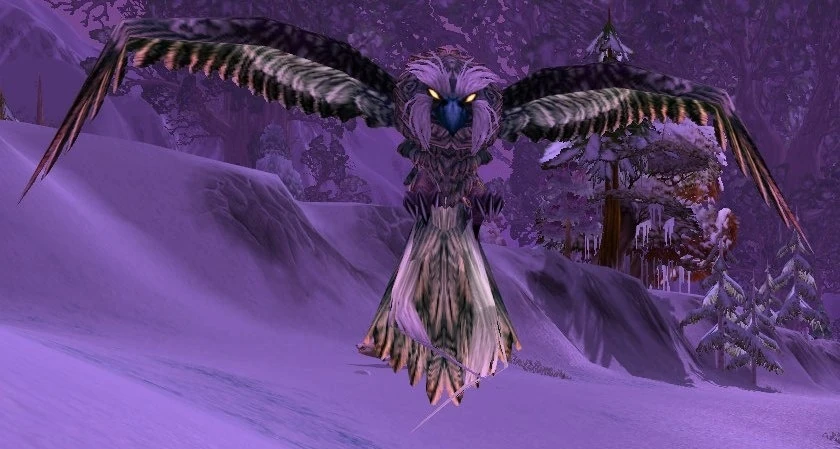 Winterspring Owl