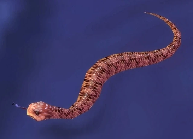 Brown Snake