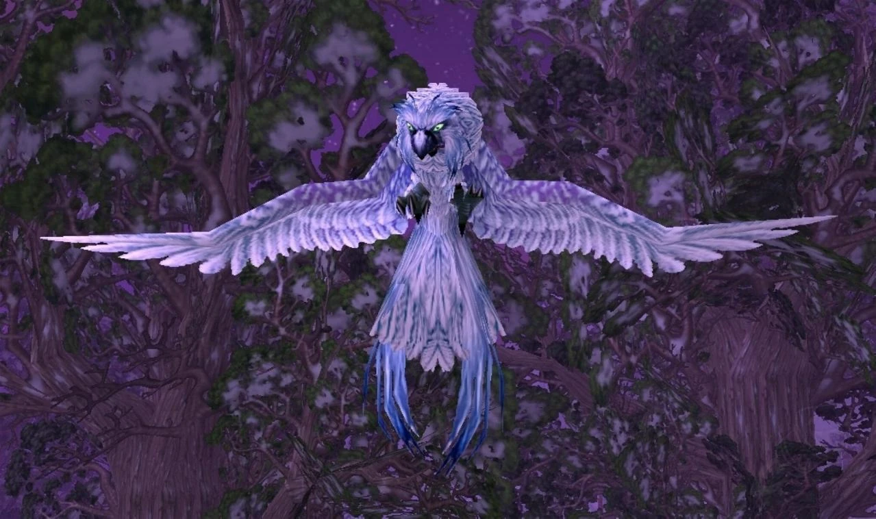 Snowy Owl