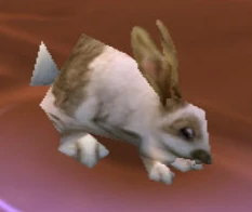 Snowshoe Rabbit