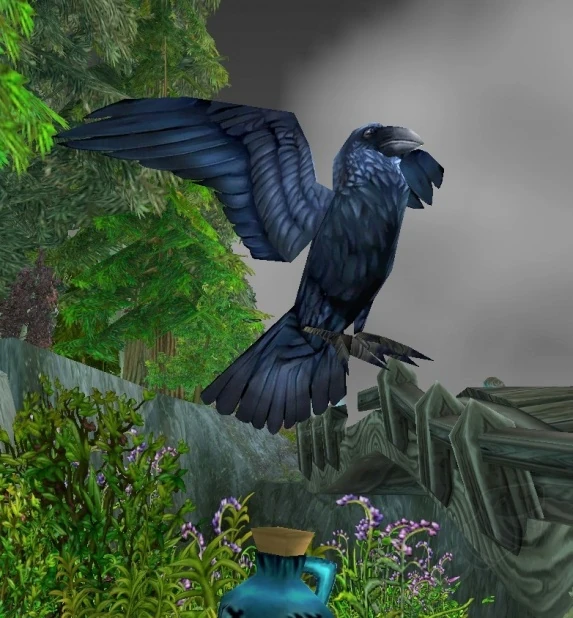 Raven