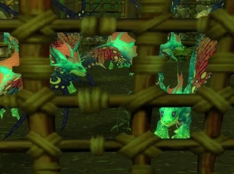 Captured Sprite Darter