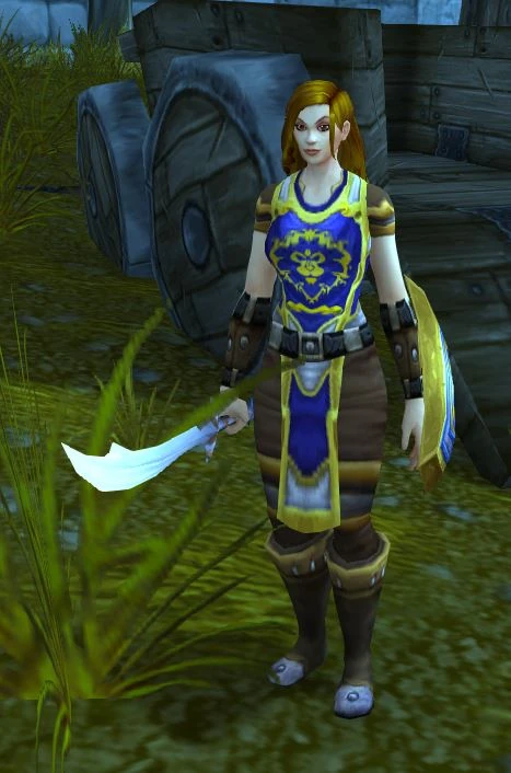 Protector Deni