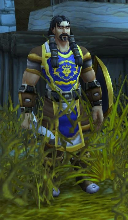 Protector Leick