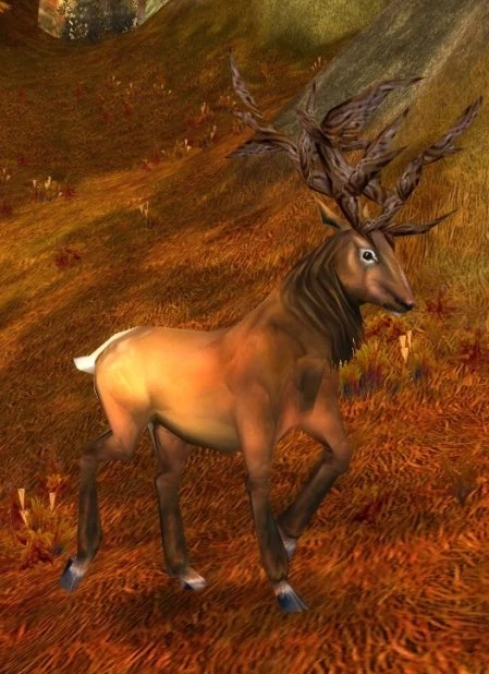 Mosshoof Stag