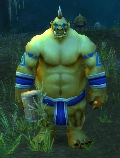 Expedition Druid